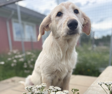 melker-nya-bilder-juli-2026-8